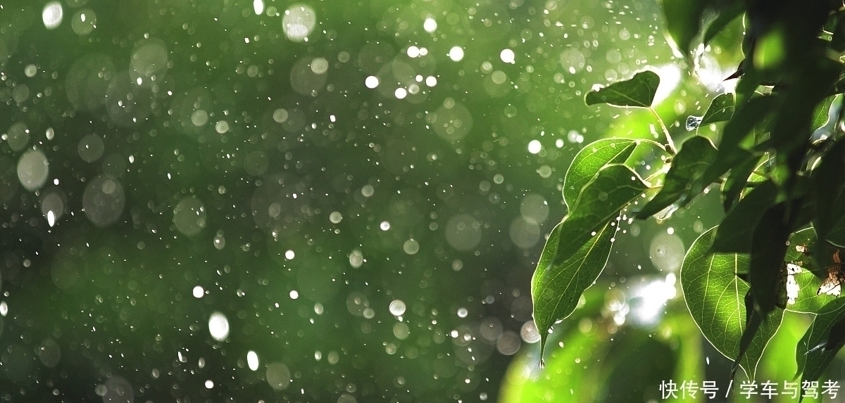 醉乡路@李煜一首小词,写尽浮生过客的忧伤,令人不忍卒读,却惊艳了岁月