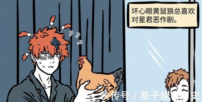 黄鼠狼|非人哉“黄鼠狼给鸡拜年”,并非都不安好心,也许是一起吃虫子