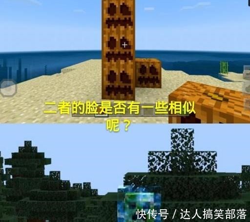 南瓜头|我的世界极其诡异的五张图,是开挂还是闹剧,你见过几张