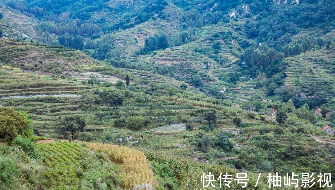 嫂夫人|九色甘南“扎尕那”沂源分那惹人醉……