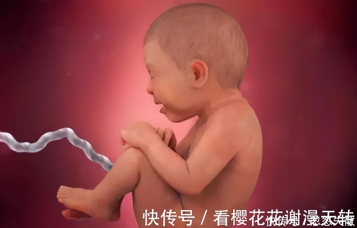 妈妈|胎宝在妈妈肚子里无聊不?是时候告诉孕妈真相了,怪可爱的