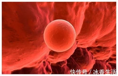 早孕|怀孕几天会出现早孕反应?若你有了这3个感觉,或许要说恭喜了!