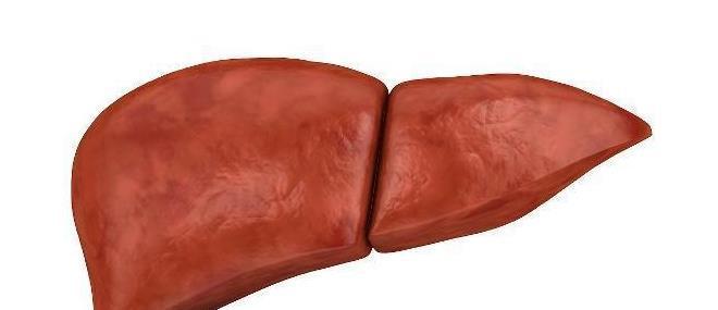 养肝护肝|肝脏好不好,比个中指就知道,若中指没有这些变化,说明肝还不错