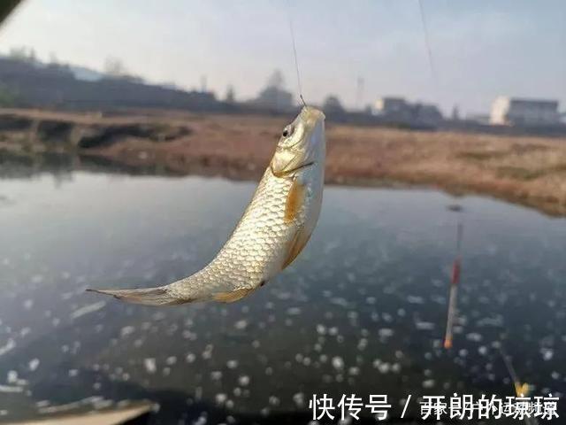 冬天钓鲫鱼,注意这4小和4不钓,按照这些套路来总会爆护!