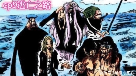 路奇和卡库|海贼王:天龙人之盾CP0究竟有多可怕?七人进五人死!
