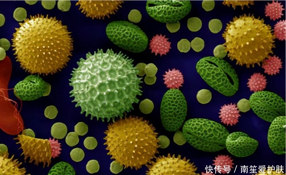 親美人：想要讓皮膚在春季里少遭罪，你需要這樣做