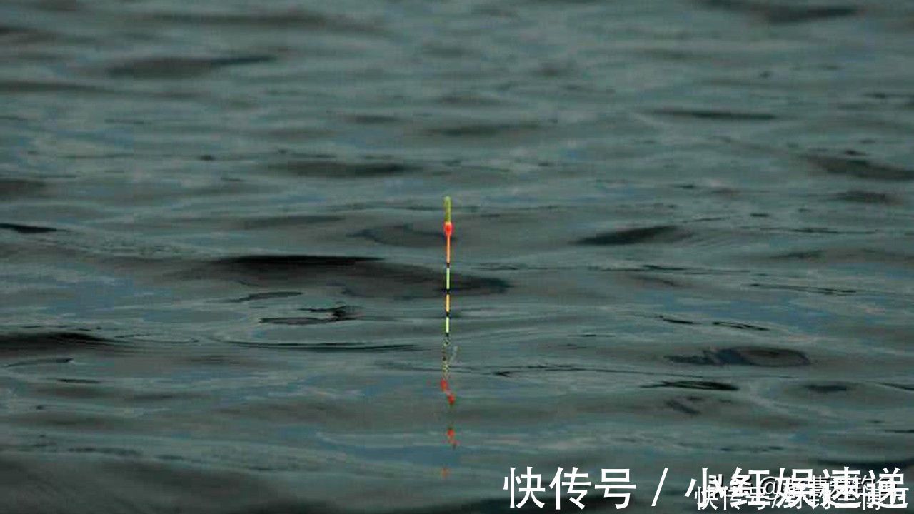 钓鱼|3段亲身经历，提醒钓友们，不要一人独自夜钓
