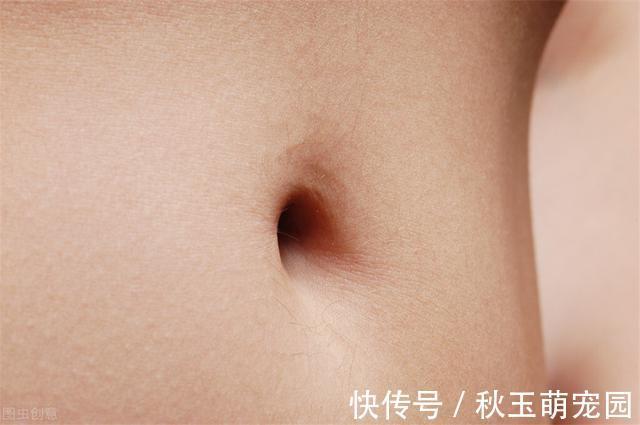 肚子疼!肚脐眼里的“泥”到底是啥?能不能抠?显微镜放大1000倍,真酸爽