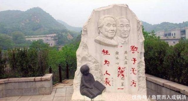 冰心|冰心孙子为什么要在她墓碑上刻“枉为人表,教子无方”8个大字?