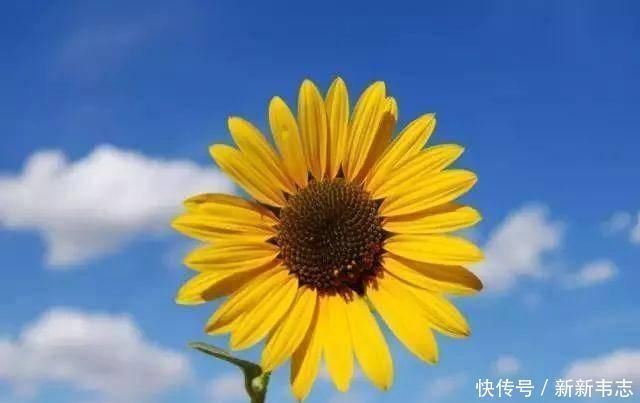 为什么很多老人挺过了70岁,就容易长寿呢答案其实很简单