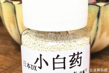 盆栽|家里无论养啥花,提前做“3步”,以后虫子少、不烂根