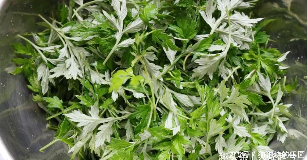 艾草泥|艾草全身都是宝,简单一做,翠绿Q弹,软糯鲜香,好吃营养又解馋