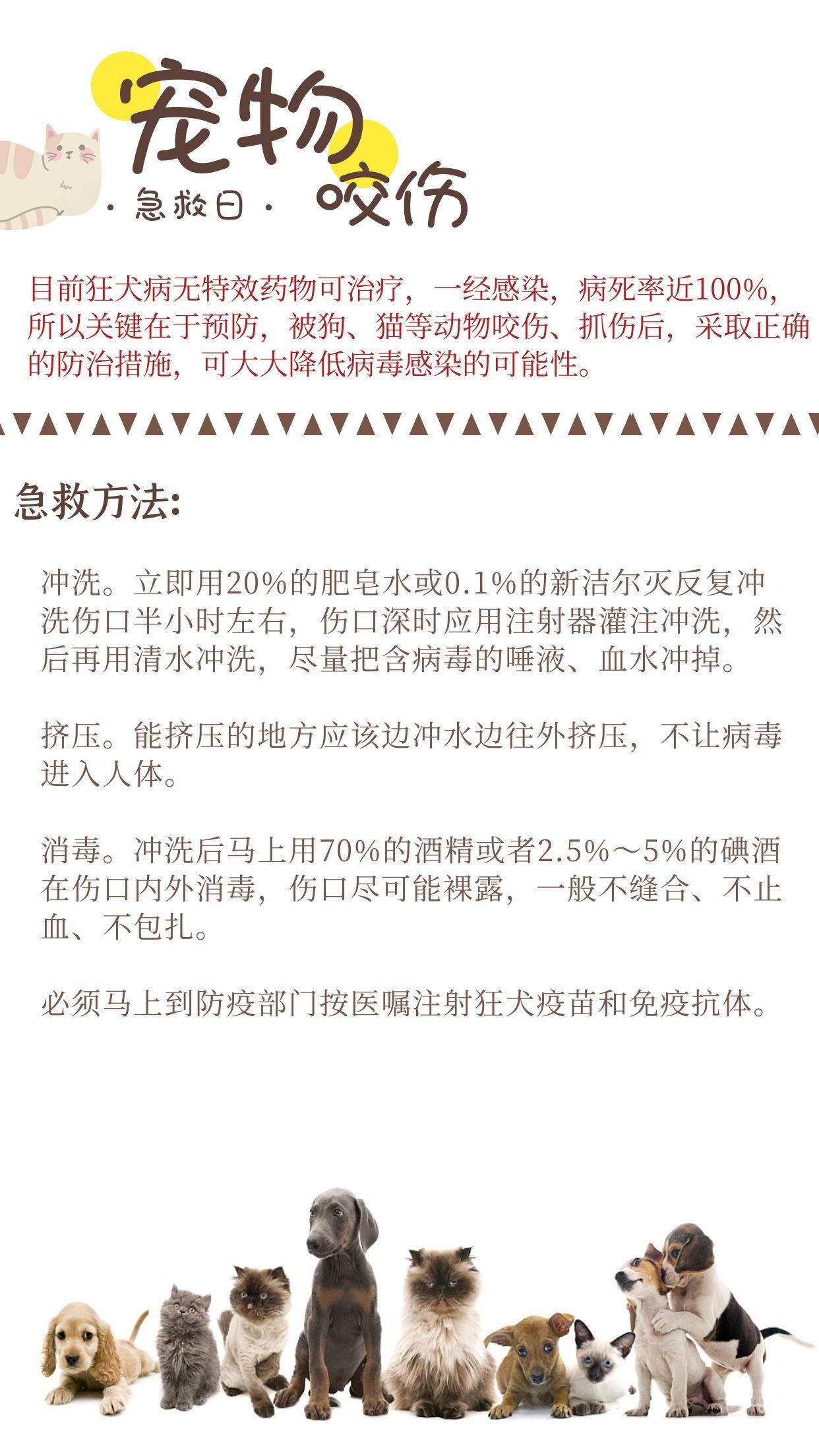 这些急救知识必须掌握！|世界急救日 |“引路人”眼中的幸福、快乐与值得\＂,\＂l0\＂:\＂教师节