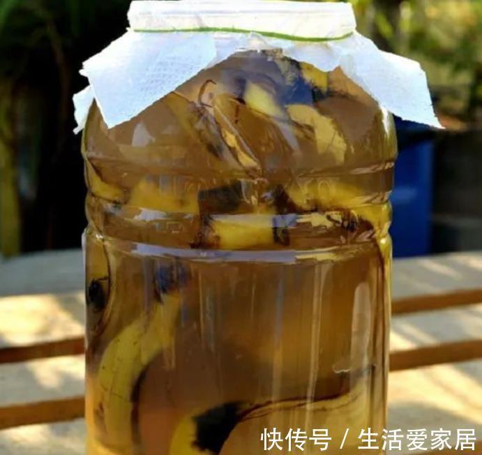 万能肥|香蕉皮：绿叶的“清洁剂”，养根壮土的“万能肥”