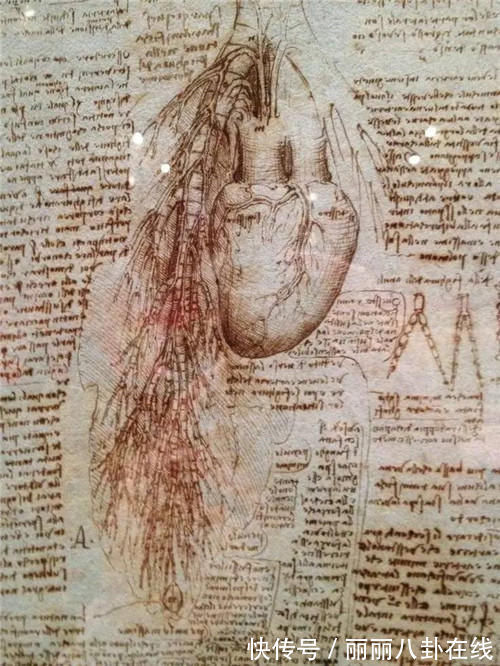 蒙娜丽莎的微笑$达芬奇为何总被质疑是外星人?学者:你看他当年的手稿,就知道了