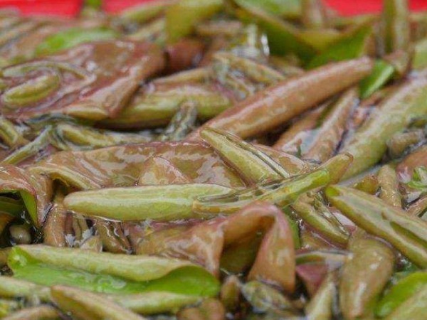 氨基酸|埋没在农村的4种抗癌野菜,比蒲公英好几十倍,现在挖还不晚!