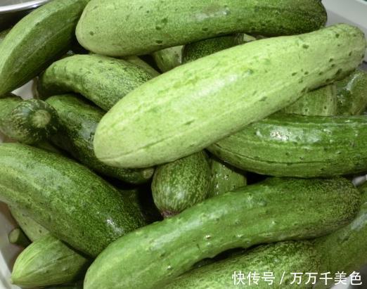 保证|买黄瓜时,挑直的还是弯的?菜农:牢记这3点,保证不花冤枉钱!