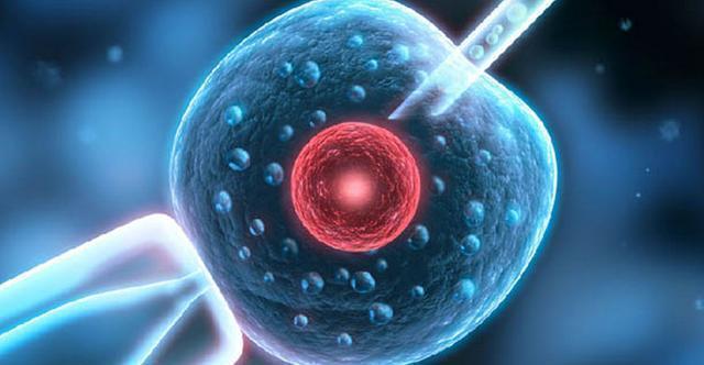 龙凤胎|试管婴儿能决定生男女吗通过试管能要双胞胎或者龙凤胎么