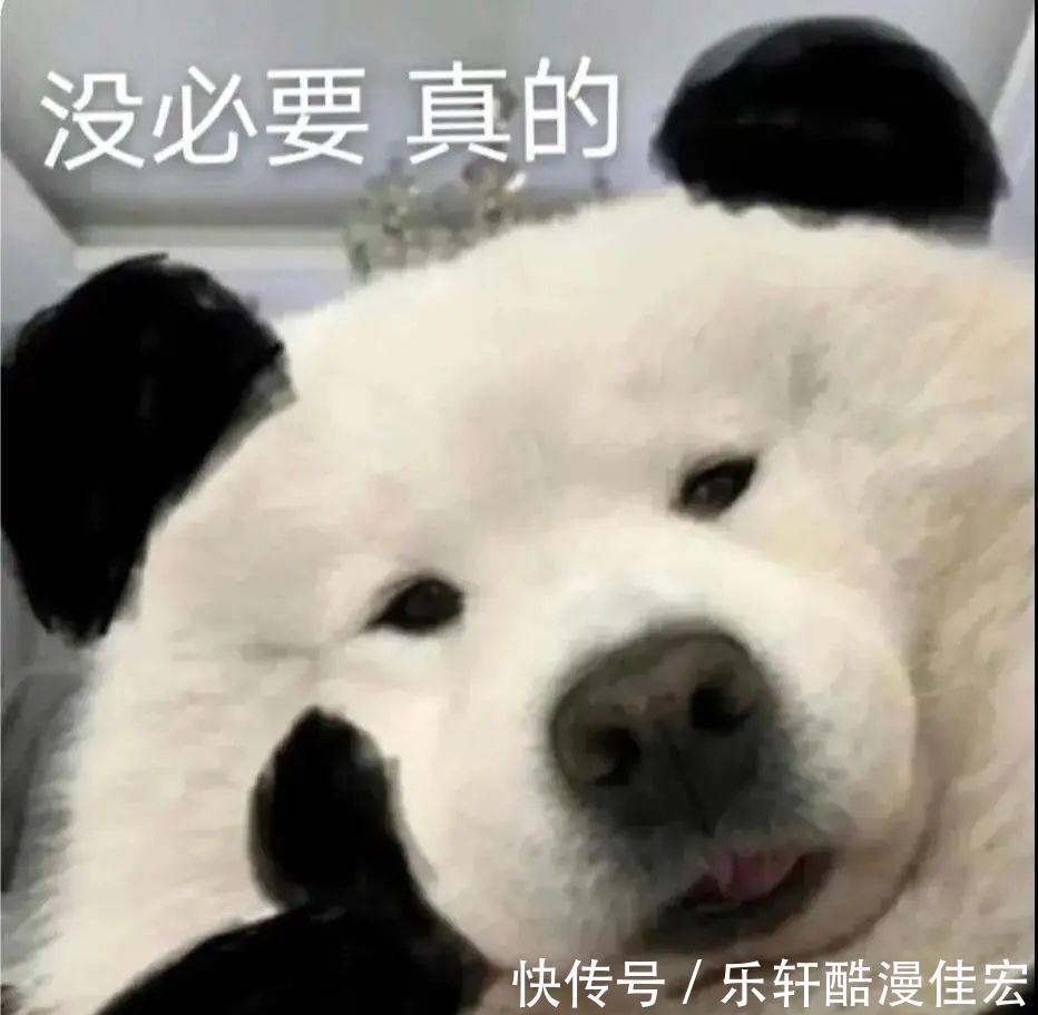郫縣豆瓣醬|入秋最香甜的一口！健脾養胃，5塊錢搞定一大盤！