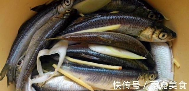 小白条|白条鱼5种最好吃的做法,简单美味又下饭,看看你喜欢吃哪种?