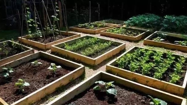 肝毒|91岁老人每天必吃的3种“碱性食物”,不仅排肝毒,还疏肝气