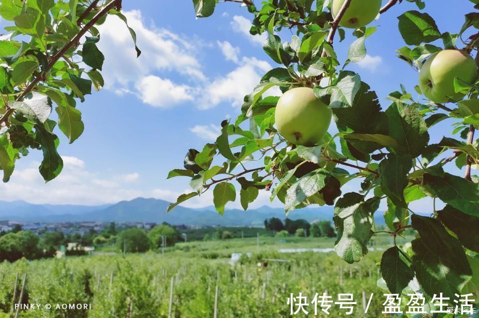 青森|日本青森夏日祭--神秘而热闹的睡魔祭