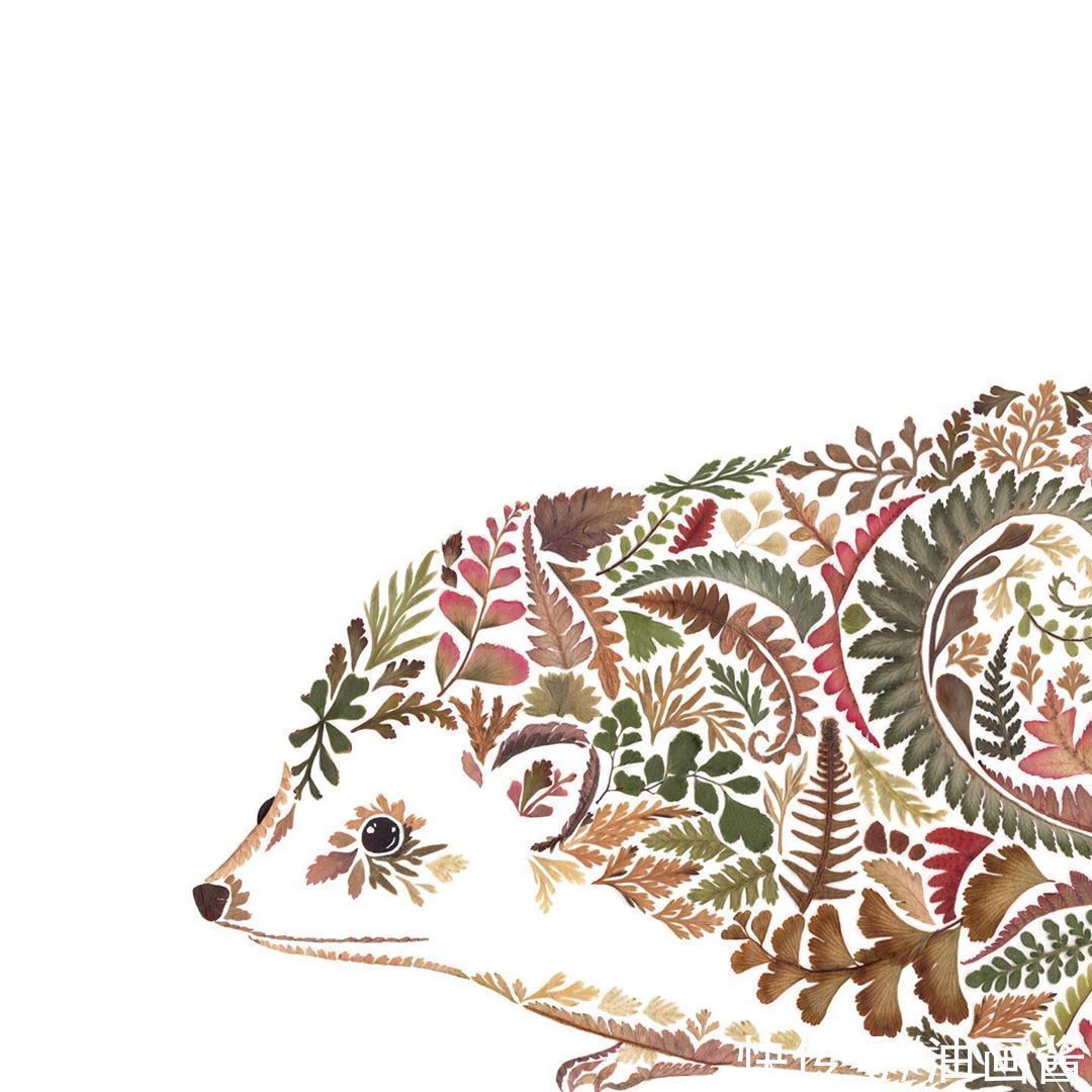 艺术作品&她画画的材料是花瓣,工具是把刀,直接用刀刻出画