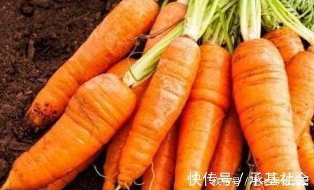 刘医师|胡萝卜与此物一起煮，失眠好了，视力好了，血管畅通无阻