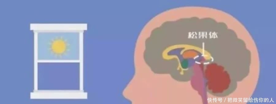 睡眠|褪黑素不能治失眠,灌酒助眠不可取,睡不着试试这9招