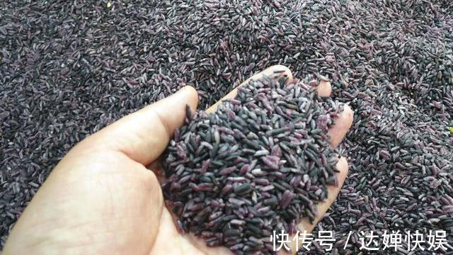 西兰花|女人最好的“胶原蛋白”,每天吃点,紧致肌肤,做“冻龄女神”