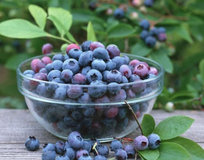 皱纹最怕的4种食物，女人每天吃一点，皮肤紧致更显年轻态