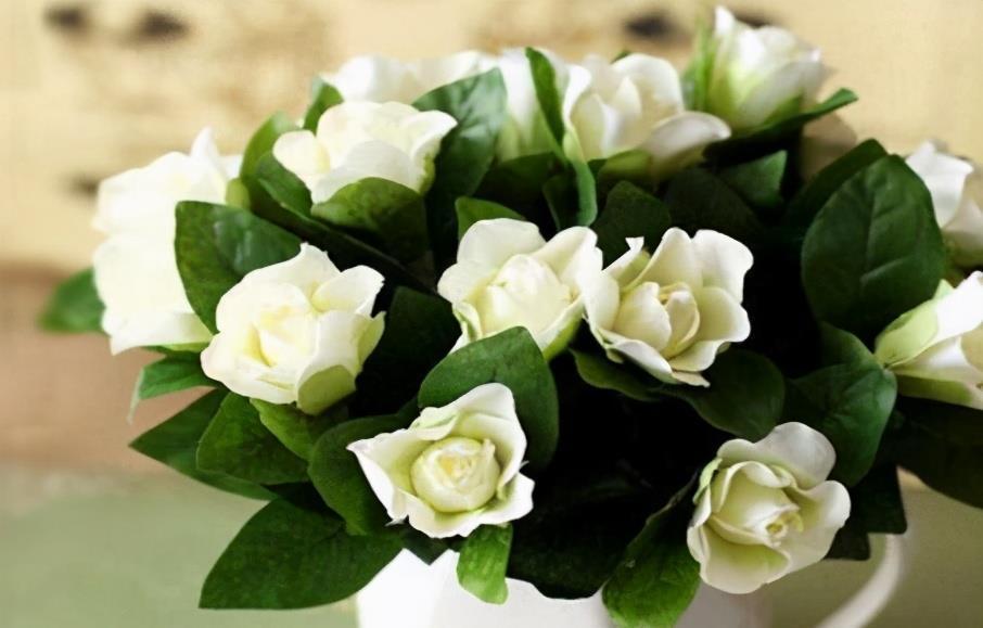 延缓|冬天来了,常吃3种食物,健脑益智,延缓衰老,增强体质