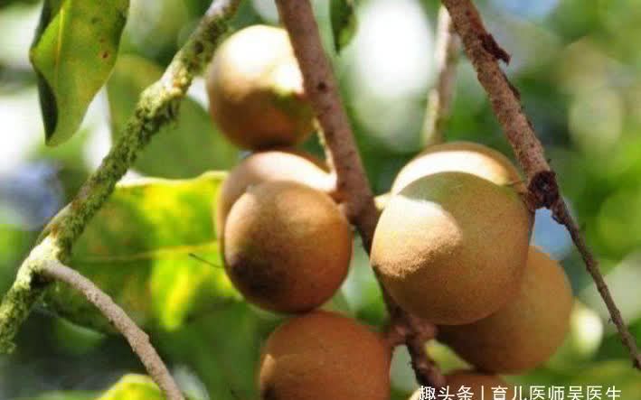 早衰|秋天预防早衰,记得多吃的好食物,眼睛明亮,肌肤年轻态,吃了好