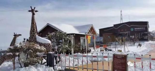 老年|淹子岭上雪