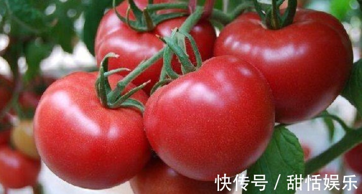 艾叶油|女性多吃以下食物,刮油减肥,水嫩肌肤,减皱抗衰老,越吃越年轻