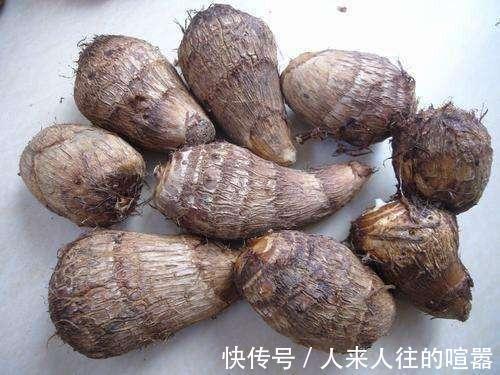 松茸|癌细胞“特怕”的几样食物来了,常吃一点,有效抗癌更长寿