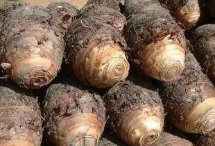 米饭|糖尿病人应该怎样吃主食?这6个技巧帮您稳定血糖,赶紧收藏起来