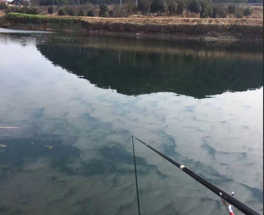  野钓别|盯紧你的浮漂！冬天野钓别等黑漂，这样的小信号也能中鱼