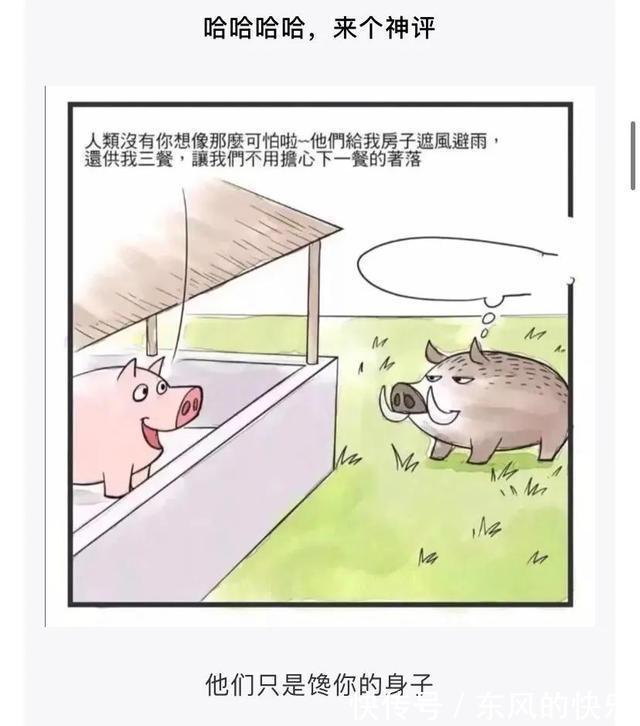 |神评段子合集:你为了挽回一个人有多努力?评论扎心了……