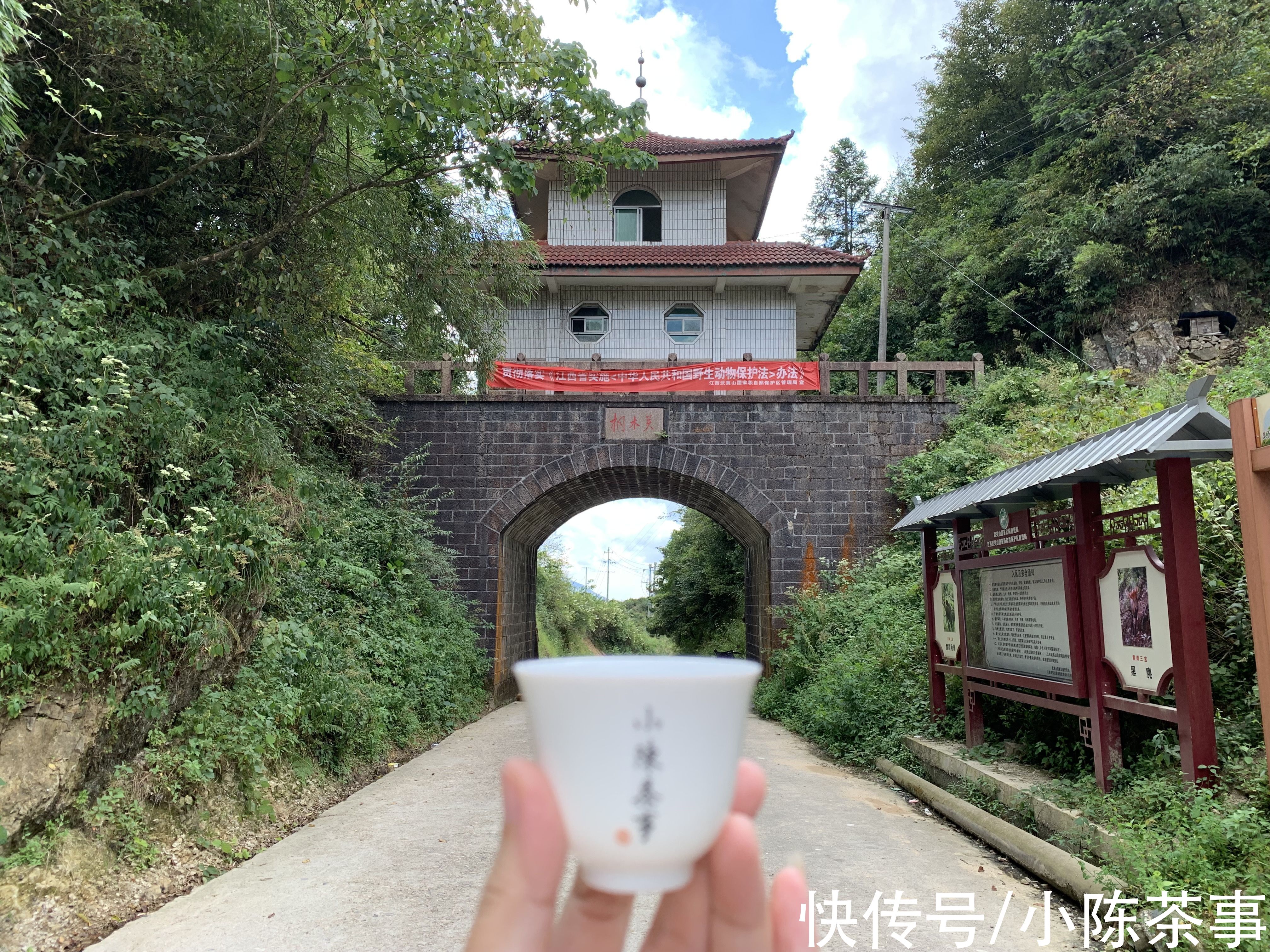 茶汤|正山小种红茶应该怎么喝？新茶好，陈茶好，还是老茶更好？