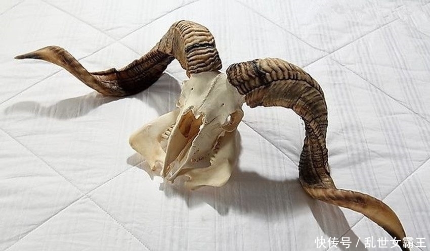 夜叉檑#中国古代真实存在的4大冷兵器,全都知道算你厉害!