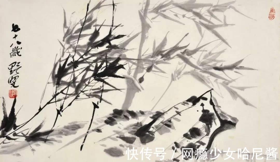 花鸟画@随心所欲、自然天成｜蒋雨浓写意花鸟画