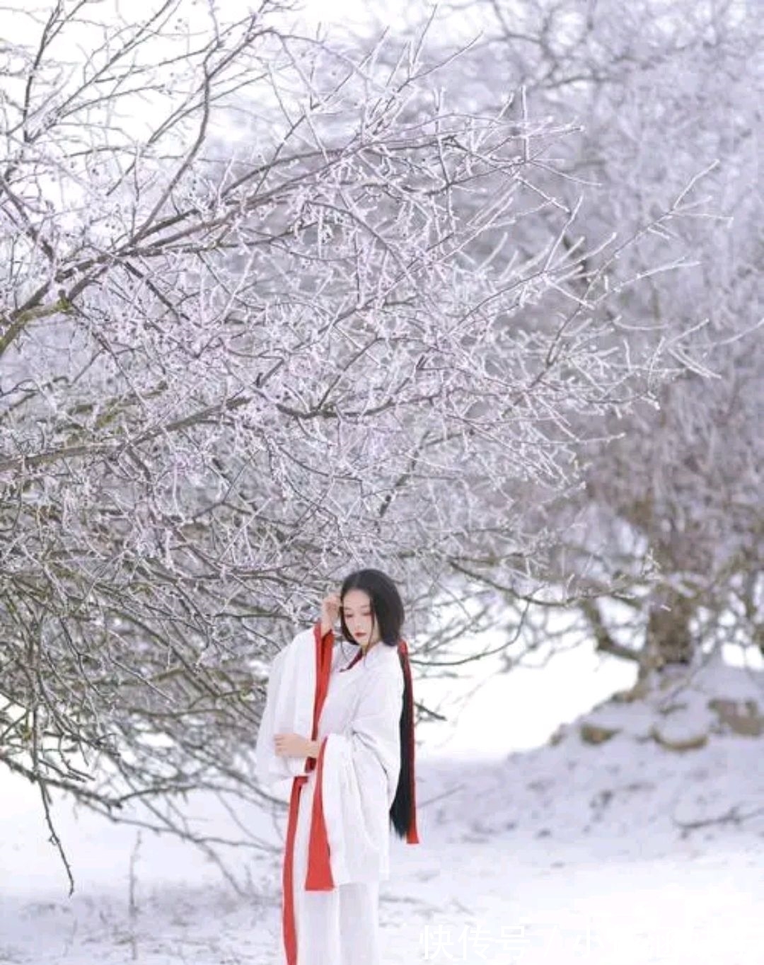 雪银！征联：梅骨几何？雪银十万芳心动，征对下联，并上期应征对联欣赏