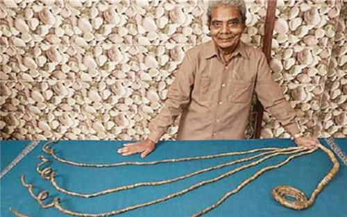 手指甲!印度老人将留了66年的指甲剪下,封存博物馆后,手指却产生新变化