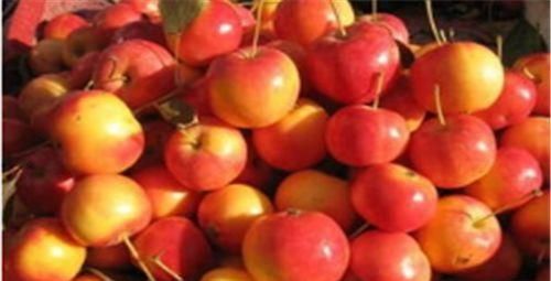 人到中年注意养生,推荐常食3物,润肠通便,改善气血,睡眠好