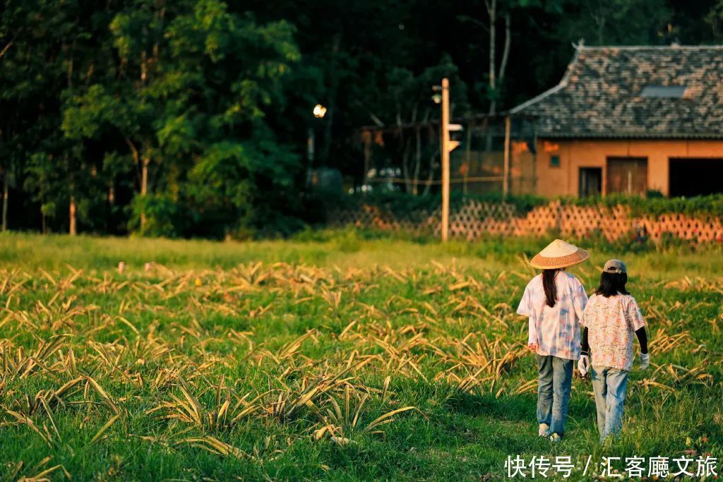 何炅挚爱，“桃花源记”真迹地，《向往的生活5》取景地刷屏！