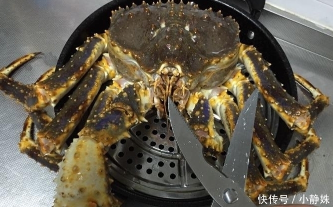 世界上的4种“顶级”海鲜,帝王蟹上榜,很多人叫不出图2的名字