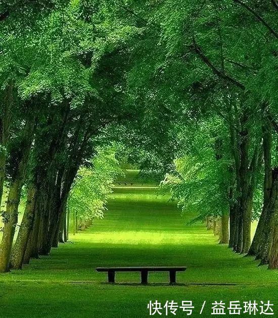 太美了,世界照片今天终于传来,罕见至极,一睹为快