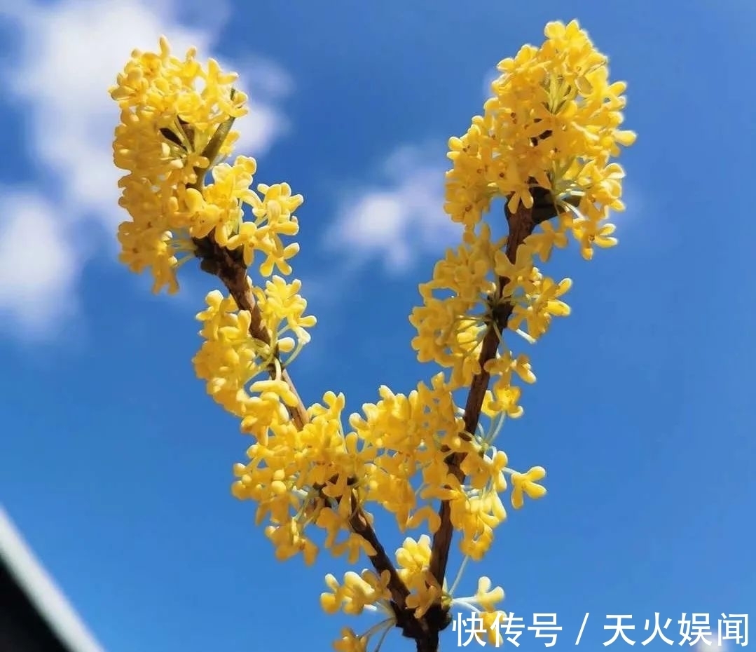 秋季钓鱼饵料中可加4种东西,夜钓效果更显著,常常有惊喜