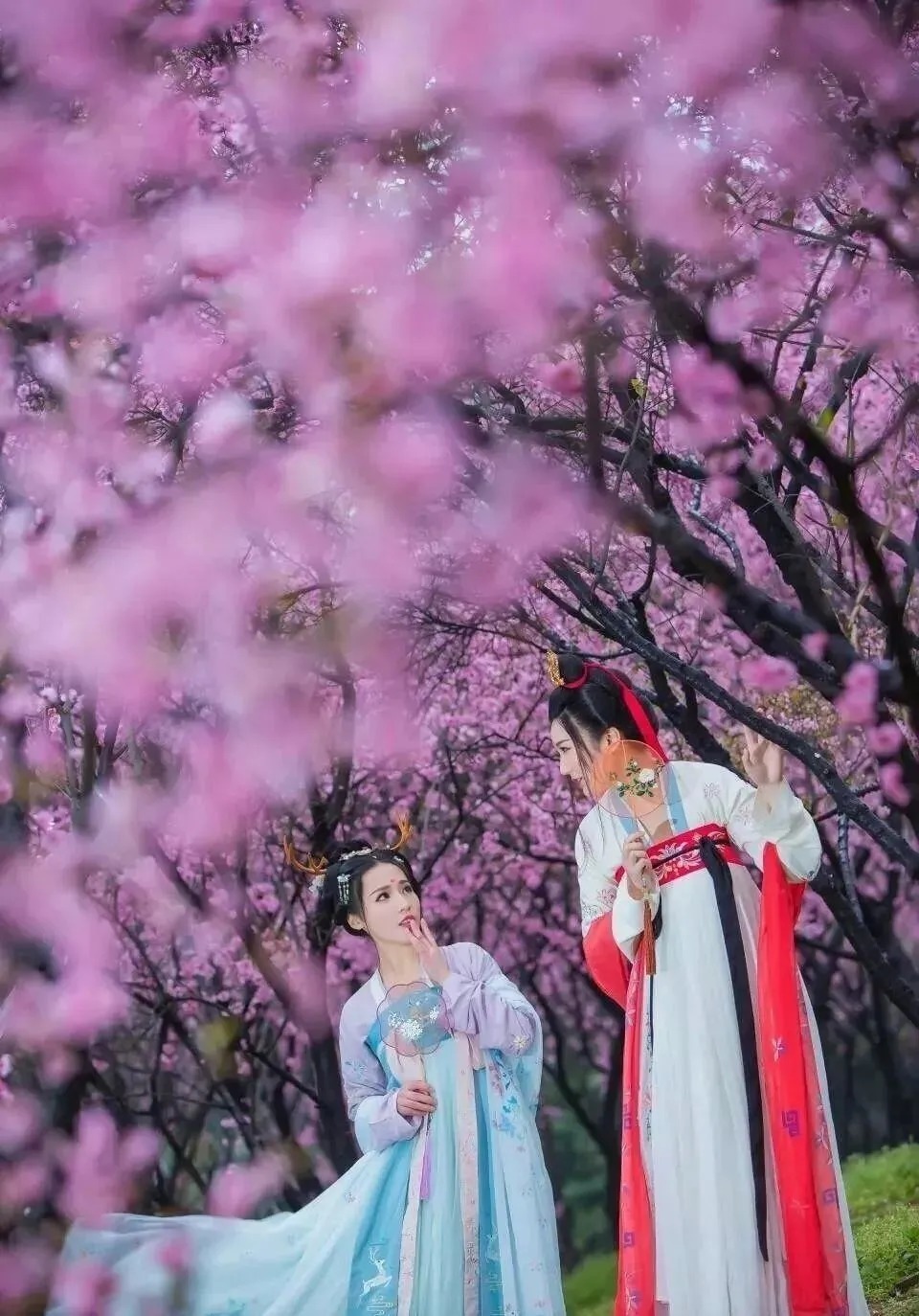 十首《相见欢》:林花谢了春红,太匆匆